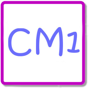 grammaire en video Cm1