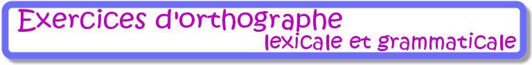 Exercices orthographe lexicale et grammaticale