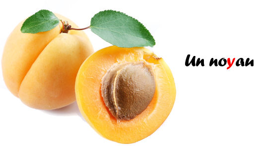 illustration son o tole