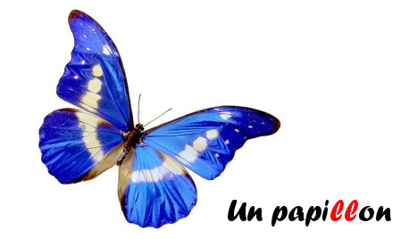 illustration son o dauphin