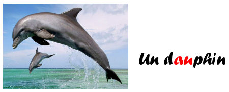 illustration son o dauphin